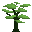 Grass tree